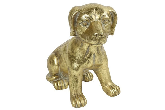 Hond zittend Lina goud