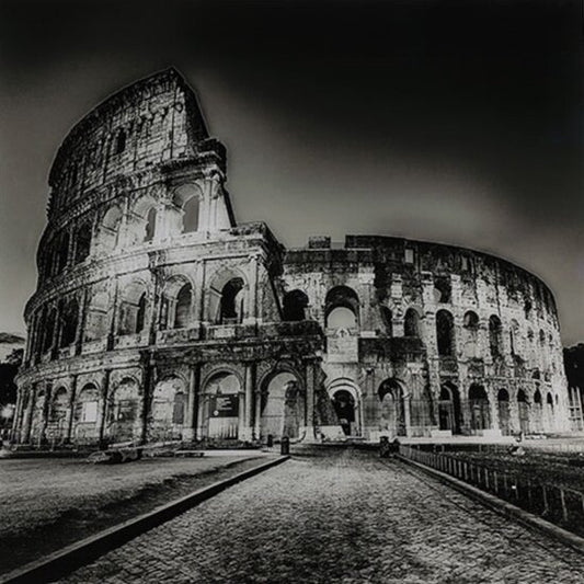 Schilderij Colosseum vk Dumas - *ALLEEN AFHALEN IN DE WINKEL